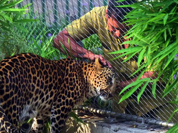 thiruvananthapuram zoo